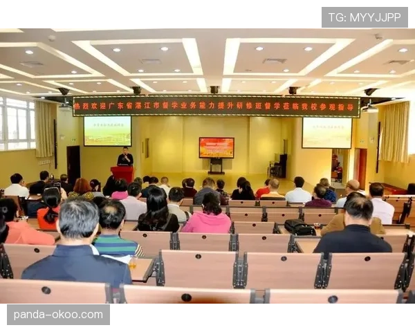 深入解析篮球比赛中加罚规则的触发机制与执行标准