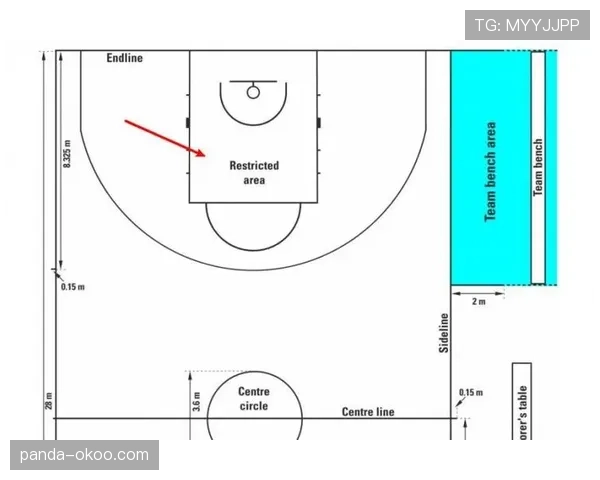 球队犯规累计规则是什么意思？NBA与FIBA判罚标准解析